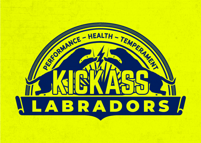 Kickass Labradors